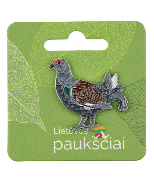 Įsegamas ženkliukas Eurazinis tetervinas